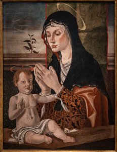 Madonna z Dzieciątkiem Jezus autorstwa Bartolomeo Montagna