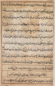 Strona z Opowieści papugi Tuti-nama: strona tekstowa, c. 1560. autorstwa Basavana