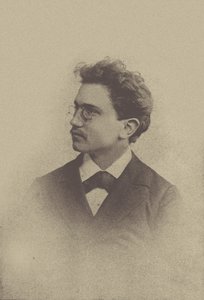 Portret kompozytora Hansa Hubera 1852-1921, 1898. autorstwa Basel . Photo studio Taescher and