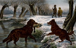 Polowanie na dzikie kaczki autorstwa Basil Bradley