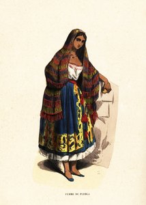 Kobieta z miasta Puebla w Meksyku autorstwa Belgian School