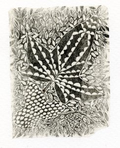 Bluszcz, 2014, (drewno na papierze) autorstwa Bella Larsson