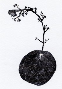 Licheń Liszaj, 2014 (Drewno, kolaż na papierze) autorstwa Bella Larsson