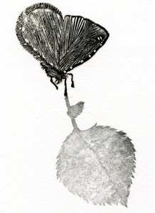 Suspense, 2014 (Drewno grawer, kolaż na papierze) autorstwa Bella Larsson