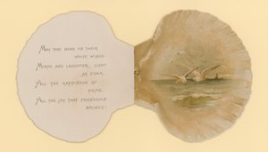 Ilustracja do broszury zatytułowanej Sea Shells (kolor lito)