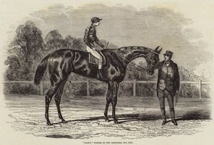 Nancy, zwycięzca Goodwood Cup, 1851