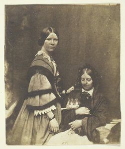 Pani Craik trzymająca kota, ok. 1930 r. 1858. autorstwa Benjamin Mulock