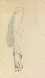 Anatomiczne studium nogi autorstwa Benjamin Robert Haydon