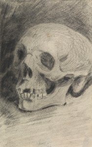 Studium czaszki autorstwa Benjamin Robert Haydon