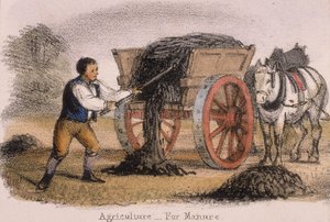 Rolnictwo, na obornik, c1845