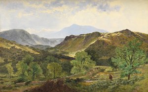 Moel Siabod - w Dolinie Skóry, 1871 autorstwa Benjamin Williams Leader
