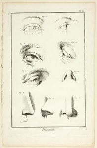 Projekt: Anatomia twarzy z Encyclopédie