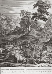 Akteon zamieniony w Jelenia i pożarty przez jego psy, 1731 autorstwa Bernard Picart