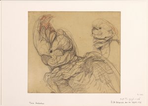 Dwie kakadu, pół życia autorstwa Bernard Willem Wierink