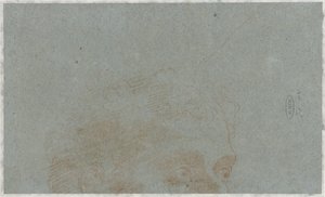 Część głowy mężczyzny autorstwa Bernardino Lanino (possibly)