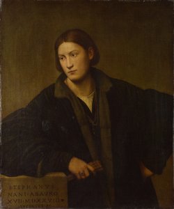 Portret Stefano Naniego, 1528