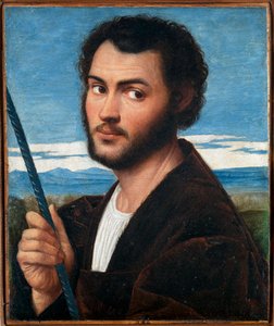Portret mężczyzny par Licinio, Bernardino (ok. 1489-ok. 1565). Olej na płótnie, format : 32x25,5, I poł. XVI w., Fondazione Cini, Venezia