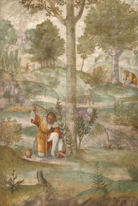 Kefalos ukrywający klejnoty autorstwa Bernardino Luini