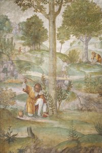 Cefalus ukrywający klejnoty, ok. 1930 15201522. autorstwa Bernardino Luini