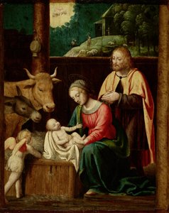 Narodzenie Chrystusa autorstwa Bernardino Luini