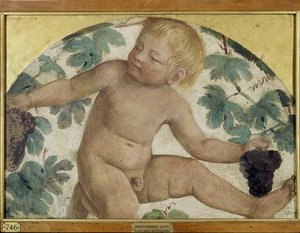 Zbieranie puttów - Putto pod pergolą, ok. 1514 (odłączony fresk na pokładzie) autorstwa Bernardino Luini