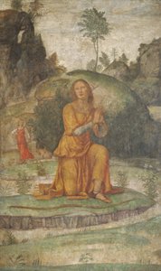 Modlitwa Procrisa do Diany, c. 15201522. autorstwa Bernardino Luini