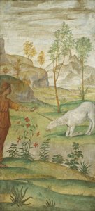 Procris i jednorożec, ok. 201 15201522. autorstwa Bernardino Luini