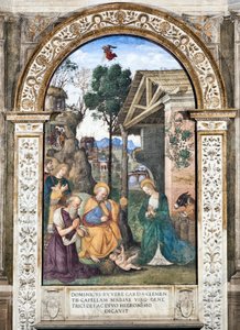 Fresk Adoracja pasterzy Pinturicchio (Bernardino di Betto) (1454-1513) 1484-1492 Bazylika Santa Maria del Popolo (Kościół Santa Maria del Popolo), Cappella Basso della Rovere Rzym Włochy