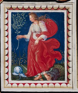 Biblioteka Piccolomini, sufit, panel z alegorią Pokoju, fresk Bernardino di Betto, znany jako Pinturicchio.
