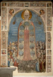 Madone de la Misericorde - Madonna Miłosierdzia (Madonna Miłosierdzia) par Daddi, Bernardo (1290-1350)