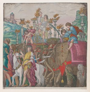 Arkusz 5: Słonie, z Triumfu Juliusza Cezara, 1599.