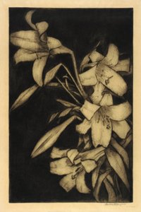 Wielkanoc lub Madonna, Lilie autorstwa Bertha E. Jaques