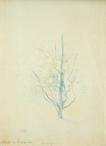 Krzaki nad jeziorem, 1893 (ołówek kolorowy na papierze) autorstwa Berthe Morisot
