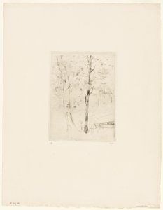 Jezioro w Bois de Boulogne autorstwa Berthe Morisot