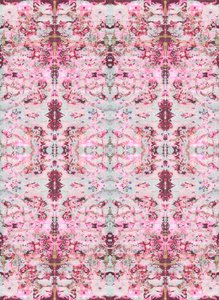Burgandy Rose, 2015 (mixed media, ilustracja, digital)