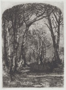 Lasy [Bosco], ok.1895. autorstwa Bianchi Mose