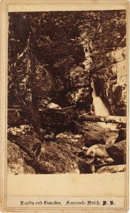 Rapids i Cascades, Franconia Notch, New Hampshire autorstwa Bierstadt Brothers