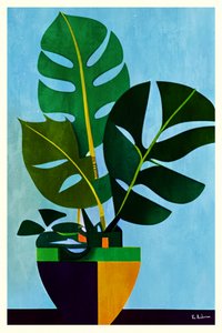 Nowoczesna monstera w doniczce autorstwa Bo Anderson