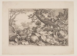 Plate 13, z Landscapes with Farmhouses (Krajobrazy z zagrodami)