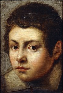 Głowa młodego chłopca,