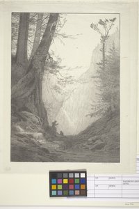 Wielkie Cedry (atrament na papierze, litografia) autorstwa Bolton Coit Brown