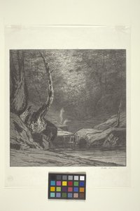Krzywe drzewo (tusz na papierze) autorstwa Bolton Coit Brown