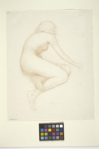 Model Kucanie (tusz na papierze)