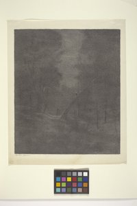 Moonlight Woods (tusz na papierze) autorstwa Bolton Coit Brown