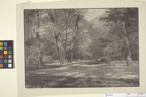 Sierra Woods (atrament na papierze)