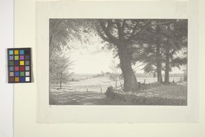Vandale (tusz na papierze) autorstwa Bolton Coit Brown