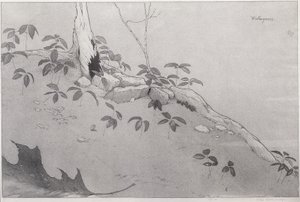 Winter-Greens (tusz na papierze)