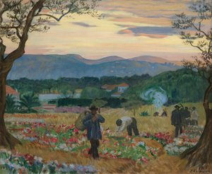 Kwiaty żniwne, 1913