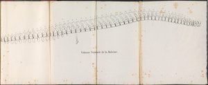 Kręgosłup wieloryba, 1827 Colonne Vertébrale de la Baleine (tytuł na obiekcie)