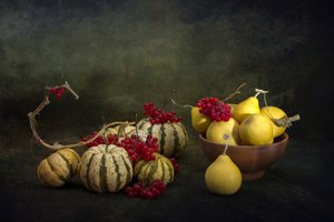 Dynie i jagody ze zbiorów autorstwa Brig Barkow